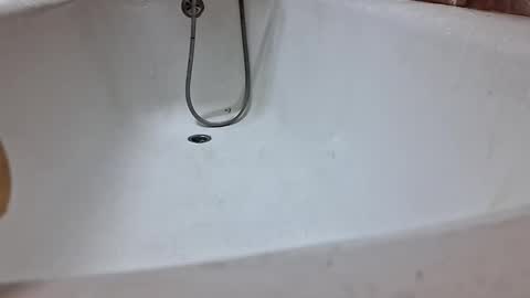 marian20242025 online show from January 7, 6:02 pm