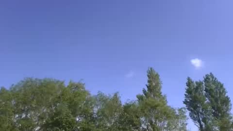 martinrgbxxxx online show from May 23, 8:32 am