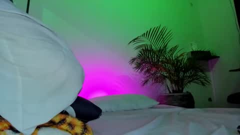 MAXI      online show from March 20, 7:13 am