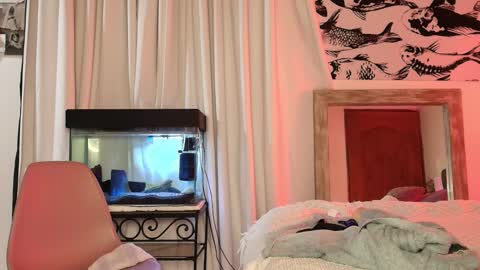 Max online show from November 13, 2:36 am