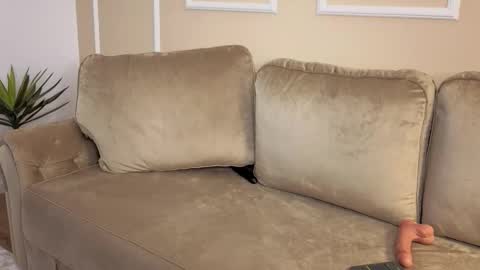 MedussaEyes online show from November 27, 9:22 pm