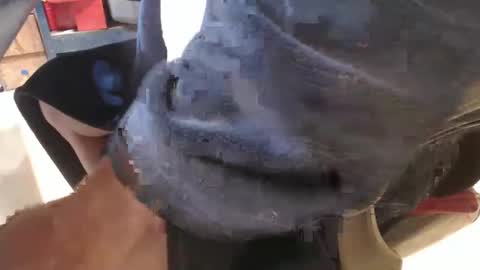 mee9090e900 online show from September 19, 11:03 am