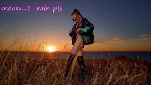 Sweet Meow nonude online show from November 4, 12:56 am