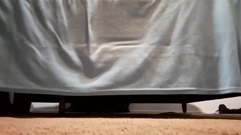 megacock420420 online show from December 10, 2:27 am