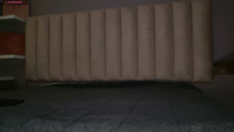     online show from January 19, 11:53 am