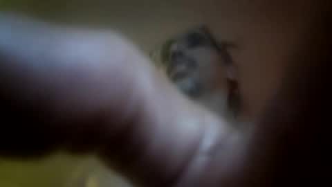 Danks dikk online show from February 23, 6:43 pm