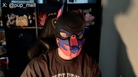 MellPUP online show from August 4, 3:30 pm