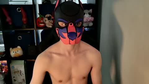 MellPUP online show from June 30, 6:17 pm