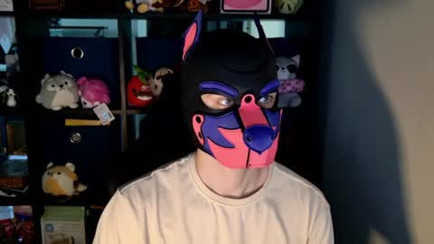 MellPUP online show from June 23, 12:33 pm