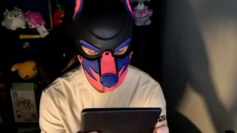 MellPUP online show from June 19, 12:00 pm