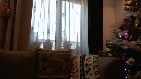 Melly online show from December 19, 7:59 am