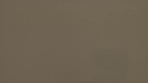 Melody online show from November 16, 9:00 am