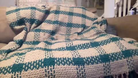 melt13 online show from September 9, 9:20 am