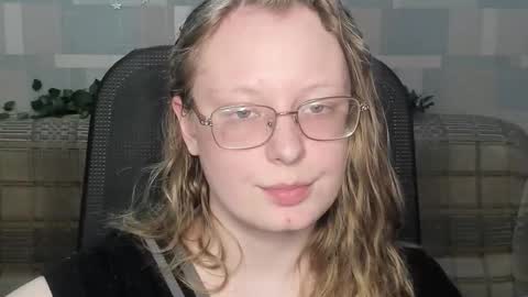 meowcr online show from March 2, 7:20 pm