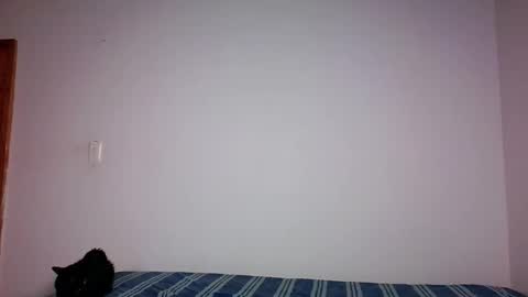 Merida  online show from January 19, 4:11 am