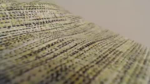 Mauro online show from February 11, 8:52 pm