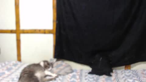 Snapshot of miahells chatting on October 9, 10:04 pm Mia  Sam online show from October 9, 10:04 pm