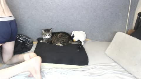 Michael online show from February 27, 10:41 am