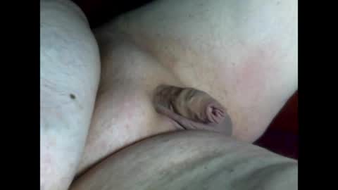 micropimmel online show from April 17, 8:55 pm