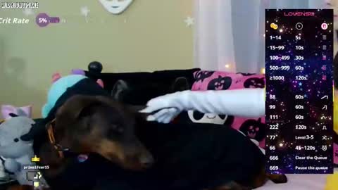 Jenna Talia online show from October 9, 2:28 am