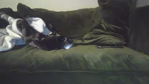 Snapshot of mike_davis44444 chatting on January 31, 7:07 am mike_davis44444 online show from January 31, 7:07 am