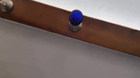 miky17cm online show from January 12, 12:28 am