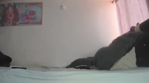 Snapshot of mila_dash chatting on February 8, 1:22 pm Mila Dash online show from February 8, 1:22 pm