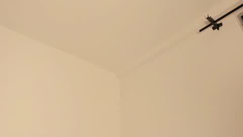     online show from February 14, 7:28 am