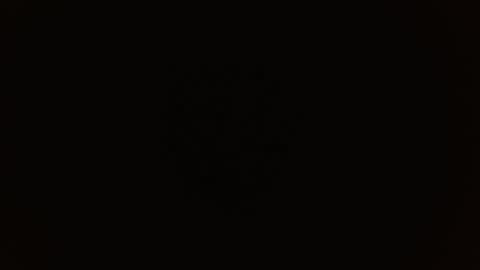 Rosalie  online show from November 27, 10:01 am