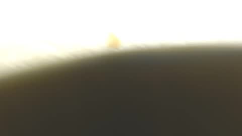 Misha online show from December 2, 12:14 pm