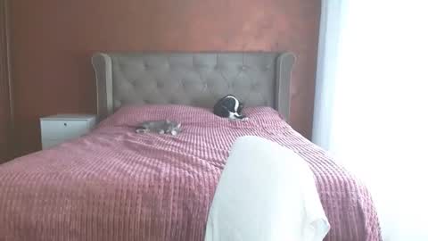 Misha online show from April 15, 10:07 am