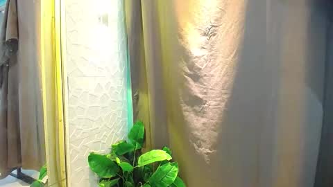 Precious online show from March 17, 1:49 pm