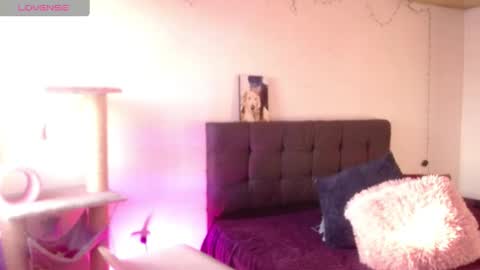 Snapshot of mistress_ditta2 chatting on December 19, 11:29 am       online show from December 19, 11:29 am