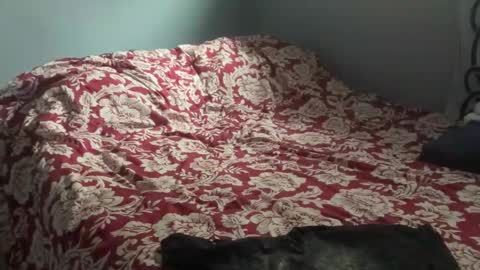 Snapshot of mntuila chatting on October 31, 3:23 pm MNTuiLa online show from October 31, 3:23 pm