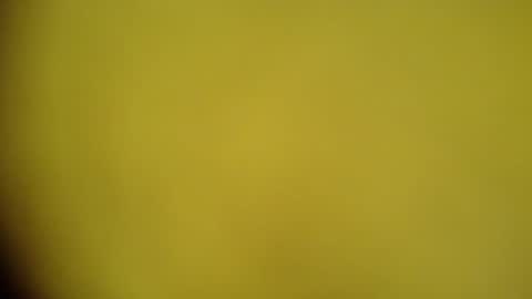 mohamedasif123 online show from January 29, 6:22 am