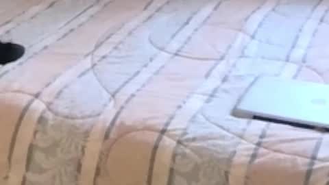 montydxxx2 online show from February 12, 11:19 pm