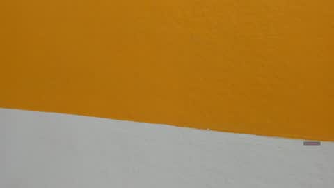 Winy online show from September 25, 11:39 am