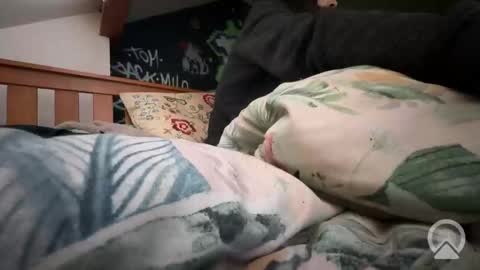 moosee900 online show from November 9, 6:39 am