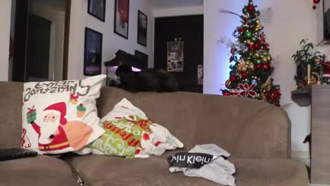 Snapshot of morgan_hiller chatting on December 3, 8:55 pm online show from December 3, 8:55 pm