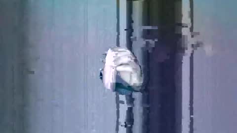 Mozu66 online show from November 1, 4:22 am