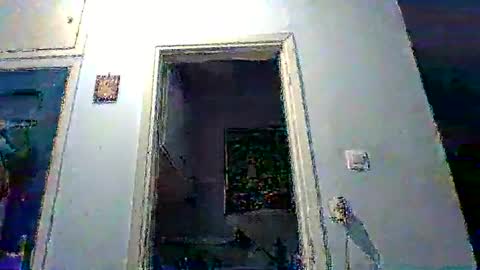 mppempis81 online show from December 22, 7:53 pm