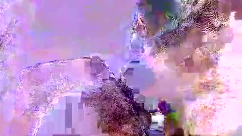 Mr boom online show from June 5, 10:20 am
