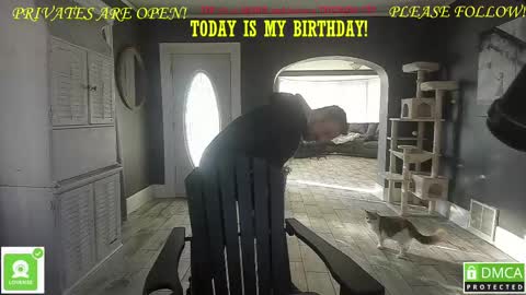 MrBrew online show from February 20, 2:24 pm