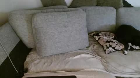 Twinsoulsex online show from January 6, 1:04 pm