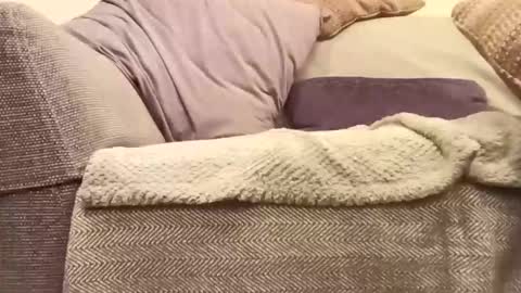 mtx9889 online show from November 20, 11:57 pm