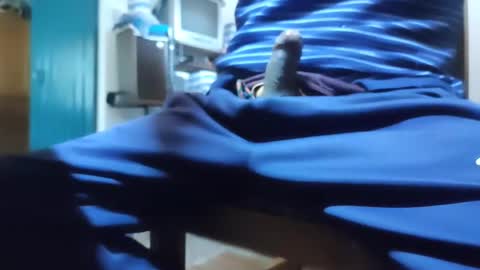 zenon online show from November 19, 7:56 pm