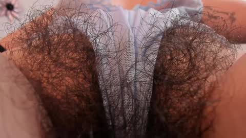 Ary Online 300pm hour colombia online show from December 22, 7:21 pm