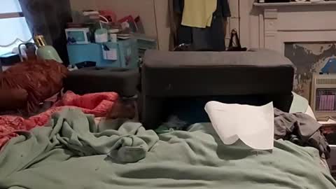 Mystery Blue and Mistress Prude online show from January 27, 7:03 pm