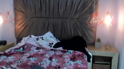Snapshot of nai_blue chatting on October 7, 3:13 am nai_blue online show from October 7, 3:13 am