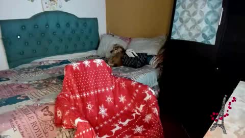 Natalia online show from November 9, 1:20 am